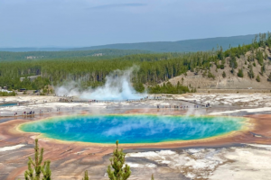 Discovering Yellowstone National Park